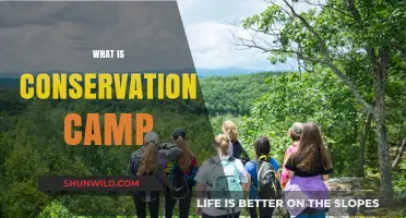 Exploring Nature: Understanding the Purpose and Benefits of Conservation Camps