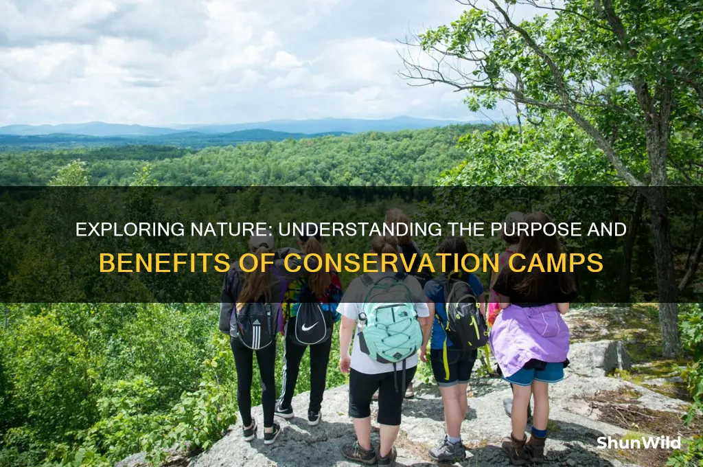 what is conservation camp