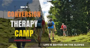Unveiling the Dark Reality of Conversion Therapy Camps