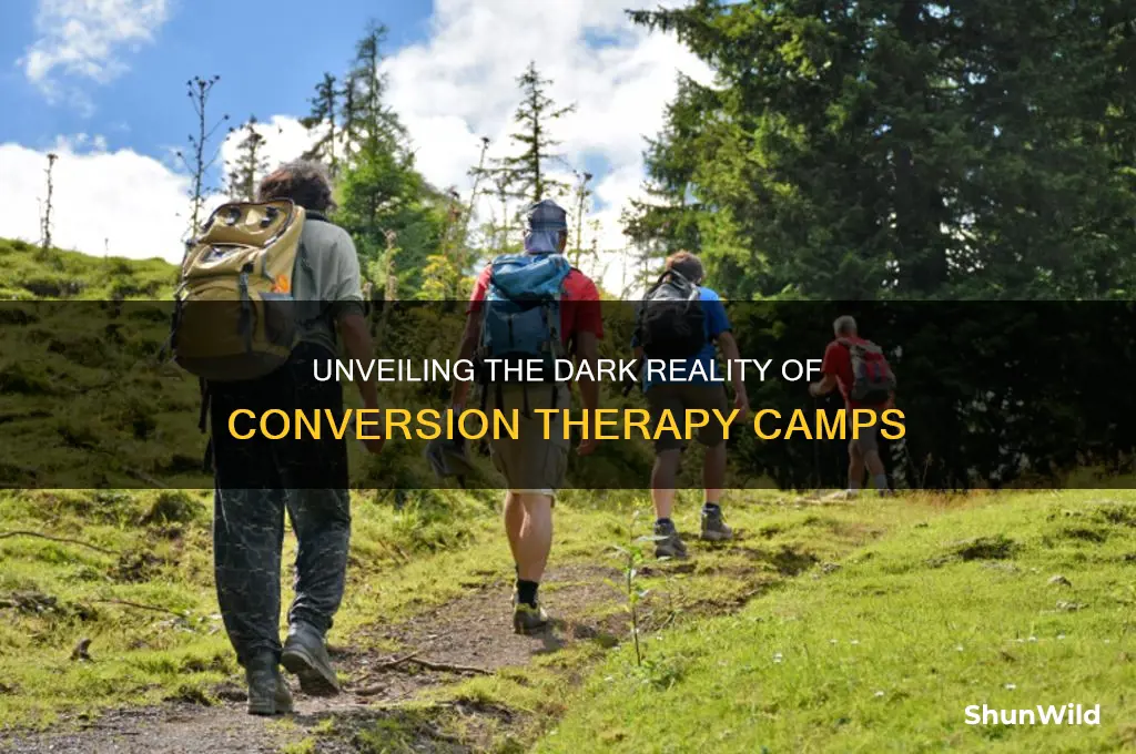 what is conversion therapy camp