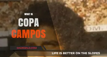 Exploring Copa Campos: Brazil's Historic Football Tournament Legacy