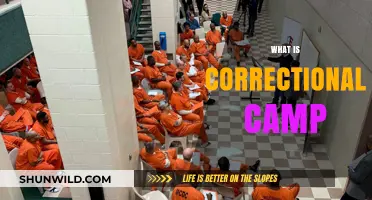 Understanding Correctional Camps: Purpose, Structure, and Impact on Inmates