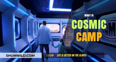 Exploring Cosmic Camp: A Celestial Adventure for Curious Minds