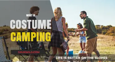 Costume Camping Explained: Creative Outdoor Adventures in Disguise