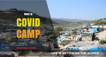 Understanding COVID Camps: Purpose, Impact, and Global Perspectives