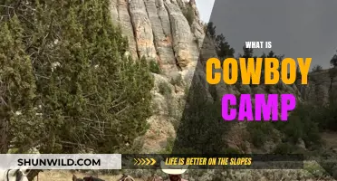 Exploring Cowboy Camp: A Rustic Outdoor Adventure Experience