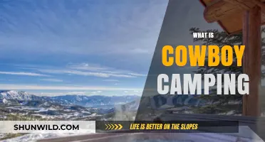 Cowboy Camping 101: Embrace the Open Sky and Simplicity