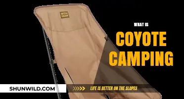 Coyote Camping Explained: Lightweight, Stealthy, and Adventure-Ready Outdoor Living