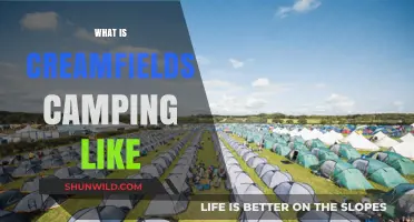 Creamfields Camping Experience: What to Expect at the Festival Site
