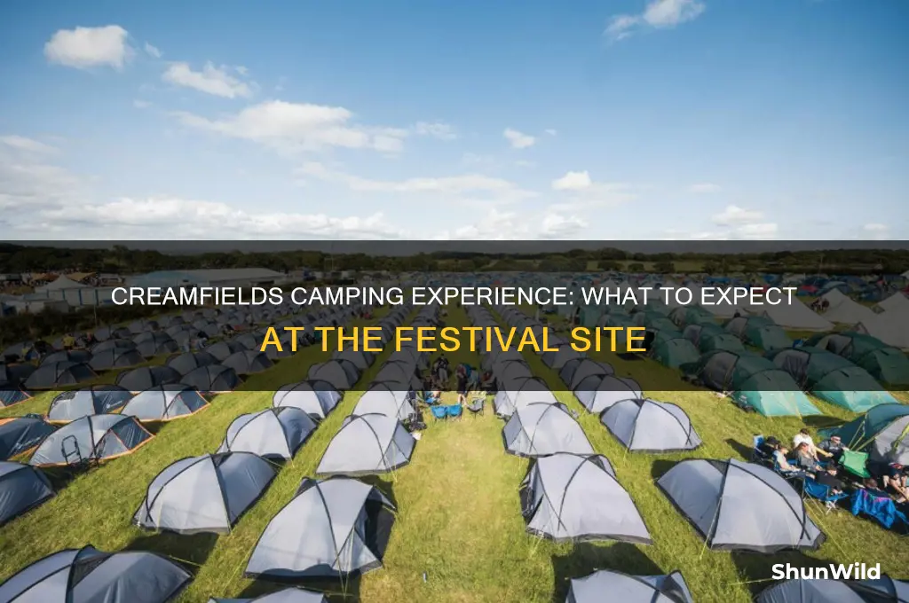 what is creamfields camping like