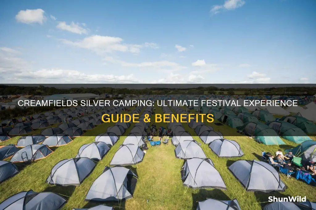 what is creamfields silver camping