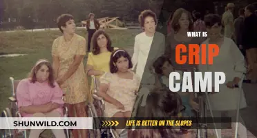 Unveiling Crip Camp: A Revolutionary Disability Rights Movement Documentary