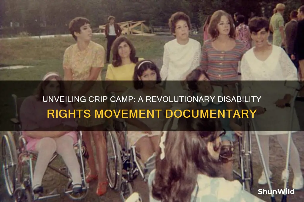 what is crip camp