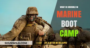 Understanding the Crucible: Marine Boot Camp's Ultimate Test Explained