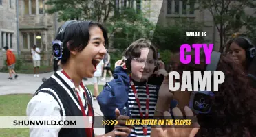 Exploring CTY Camp: Enriching Summer Programs for Gifted Youth