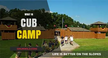 Exploring Cub Camp: Fun, Adventure, and Learning for Young Scouts