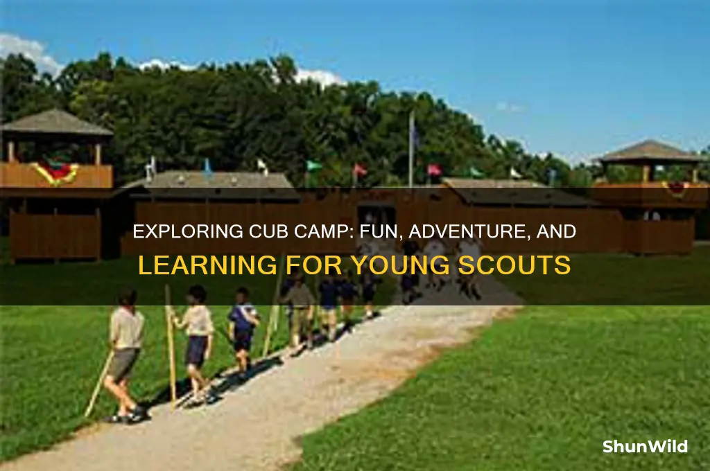 what is cub camp