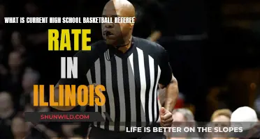 Illinois High School Basketball Referees: Salary Insights