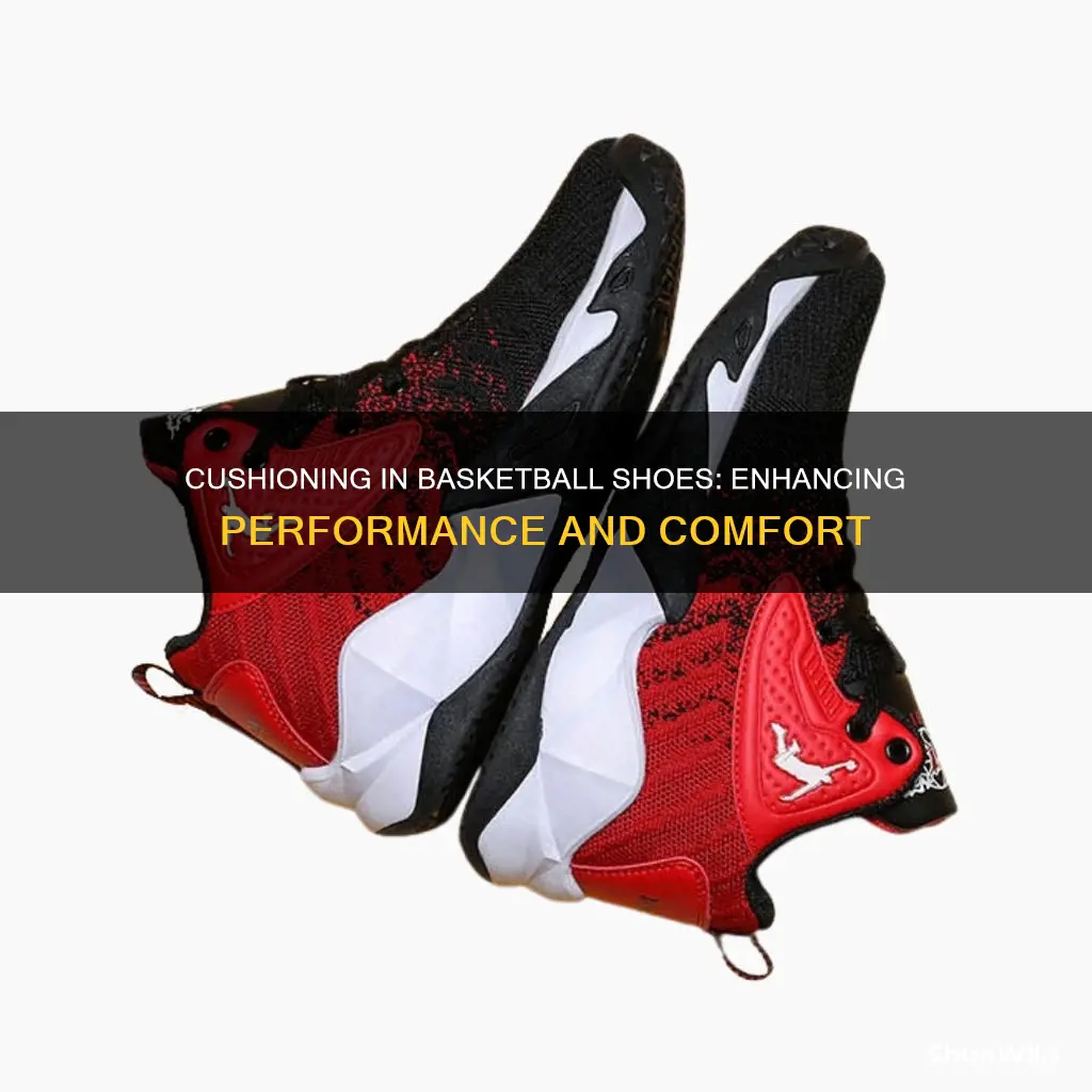what is cushion in basketball shoes
