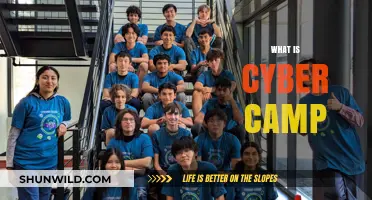 Exploring Cyber Camp: A Gateway to Cybersecurity Skills and Fun