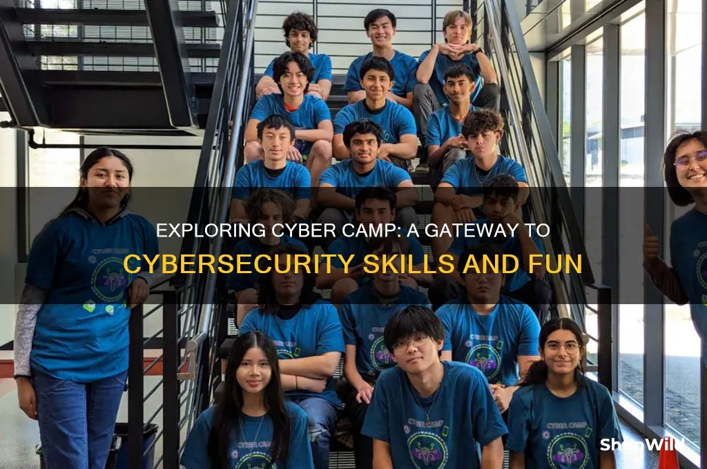 what is cyber camp