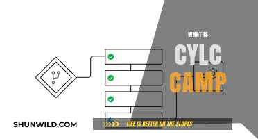 Exploring Cylc Camp: A Comprehensive Guide to Workflow Automation