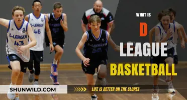 D-League Basketball: The NBA's Minor League System