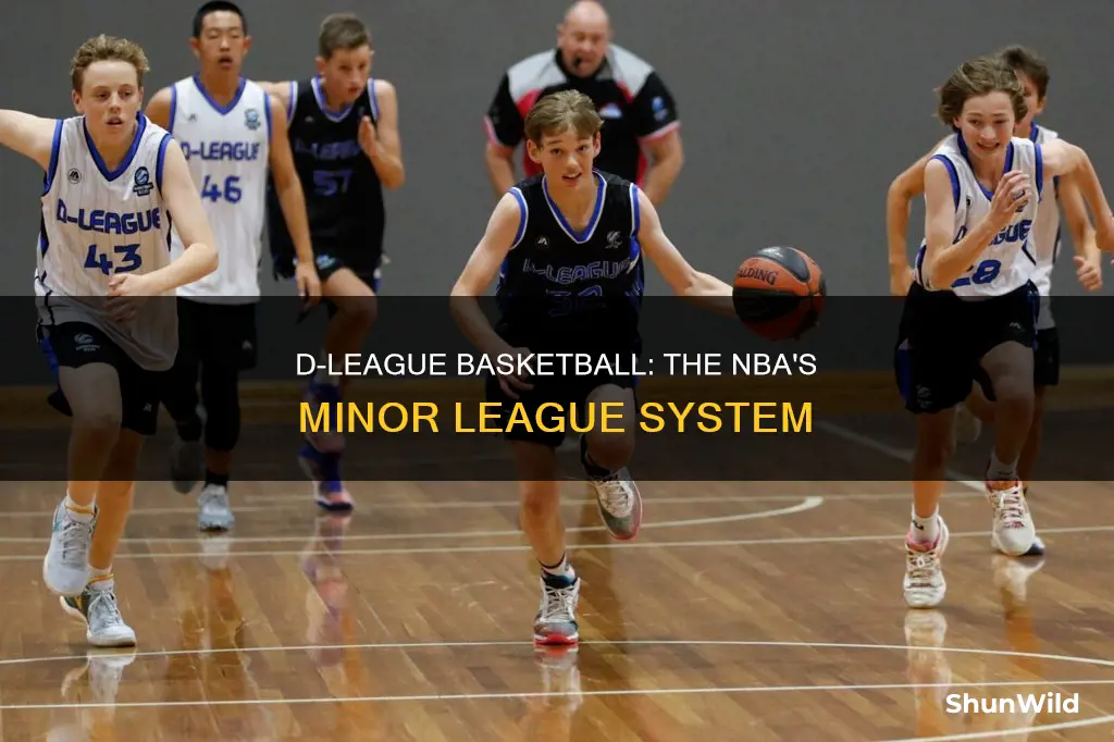 what is d league basketball