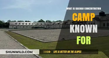 Dachau Concentration Camp: History, Atrocities, and Lasting Legacy Explained