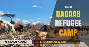 Exploring Dadaab: The World's Largest Refugee Camp in Kenya