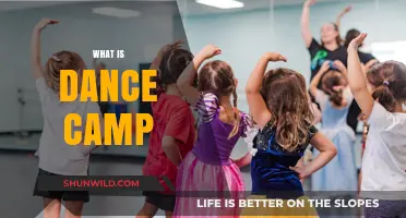 Discover the Magic of Dance Camp: Fun, Learning, and Growth