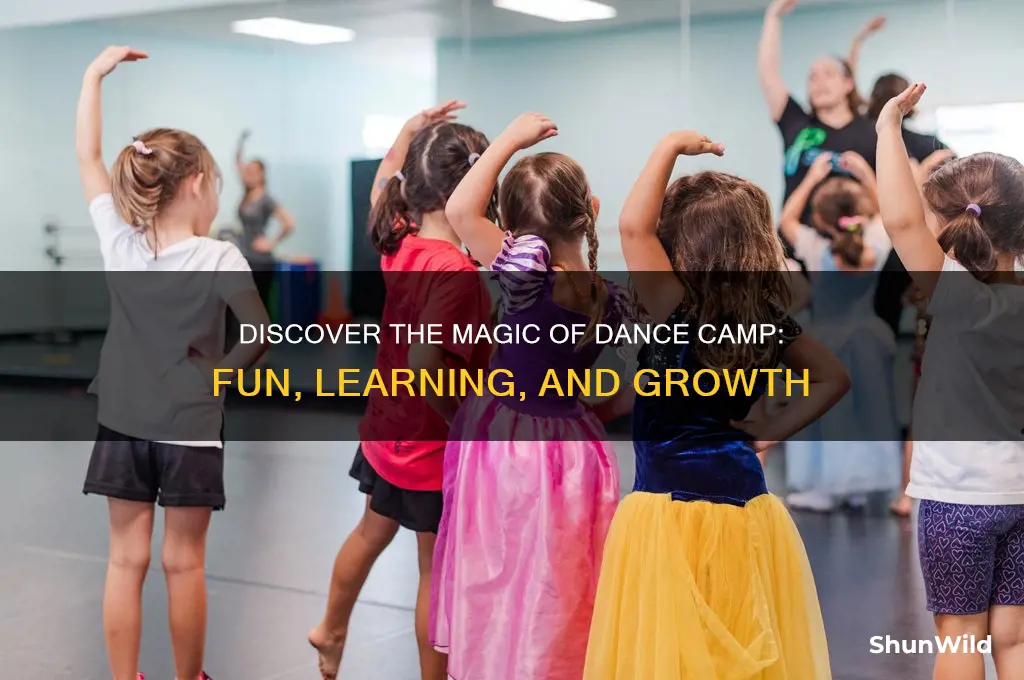 what is dance camp