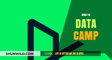 Discover DataCamp: Your Ultimate Online Data Science Learning Platform