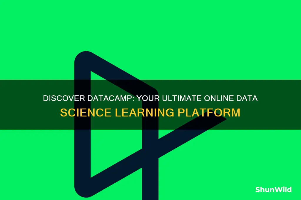 what is data camp