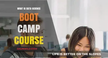 Unlocking Data Science Skills: A Comprehensive Boot Camp Course Guide