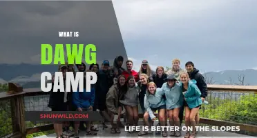 Unveiling the Ultimate Adventure: What is DAWG Camp All About?
