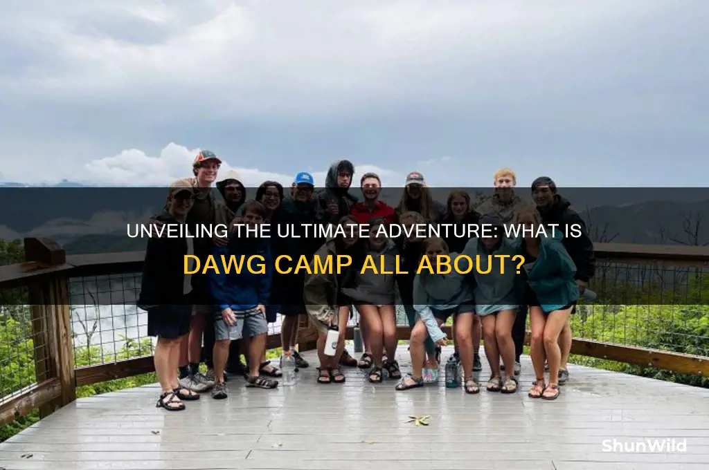 what is dawg camp