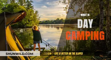 Day Camping Explained: A Beginner's Guide to Outdoor Adventures