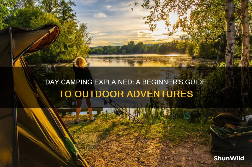what is day camping