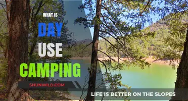 Exploring Day Use Camping: A Quick Guide to Outdoor Adventures
