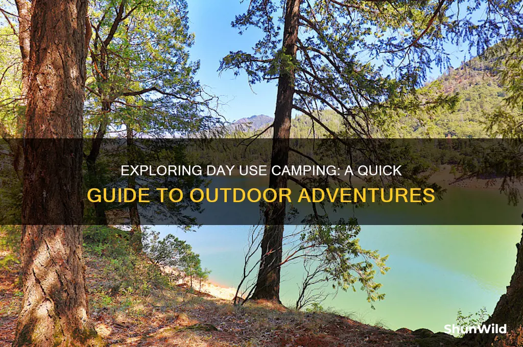 what is day use camping