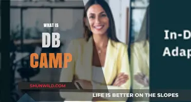 Discovering DB Camp: A Comprehensive Guide to Database Bootcamp