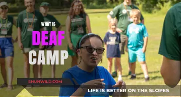 Exploring Deaf Camp: A Vibrant Community, Culture, and Learning Experience
