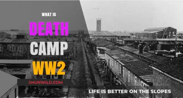 Unveiling the Horrors: Understanding Death Camps During World War II