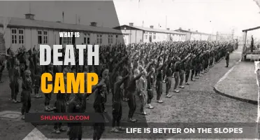 Understanding Death Camps: History, Horrors, and Lasting Impact Explained