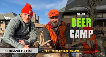 Exploring the Tradition and Joy of Deer Camp Adventures