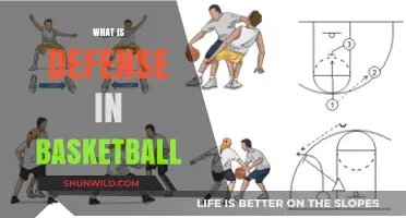 Defending the Court: Basketball Defense Basics