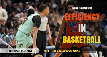 Defensive Efficiency: Basketball's Unseen Skill