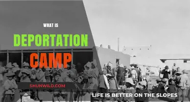 Understanding Deportation Camps: History, Purpose, and Human Impact Explained