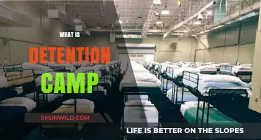 Understanding Detention Camps: Purpose, Conditions, and Human Rights Concerns